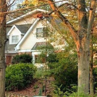 A house surrounded by trees with autumn foliage and a ladder leaning against a tree.