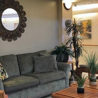 A cozy living room with a sofa, decorative mirror, and potted plants on a wooden coffee table.