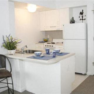 A modern apartment kitchen with a white color scheme, featuring a breakfast bar and stylish decor.