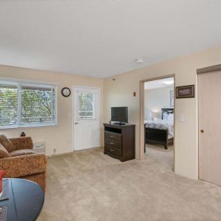 A cozy living room with a sofa, television, and windows letting in natural light.