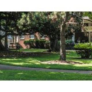 A serene garden area with lush greenery and surrounding buildings.