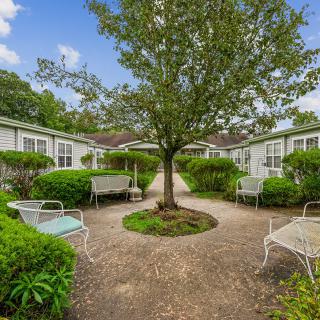A tranquil garden with a central tree, surrounded by benches and lush greenery.
