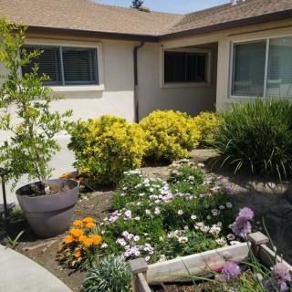 A charming garden with colorful flowers in front of a house.