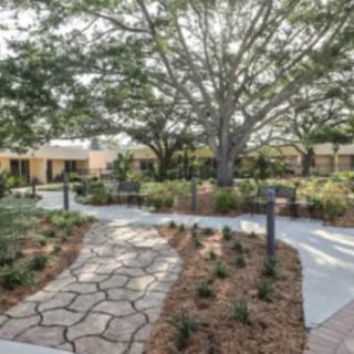 A serene garden with a stone pathway under the shade of large trees.