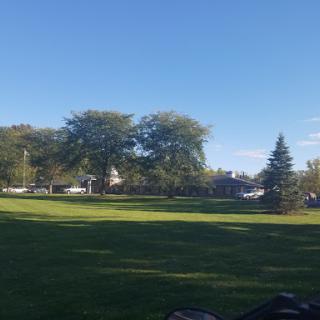 A serene park scene with trees under a clear blue sky.