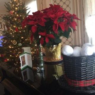 A festive holiday scene featuring a Christmas tree, poinsettia plant, and a basket of decorative snowballs on a table.