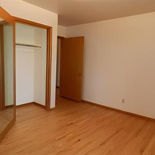 An empty room with hardwood flooring, a closet featuring mirrored sliding doors, and a wooden door.