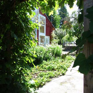 A sunlit garden path leading to a charming red house surrounded by lush greenery.