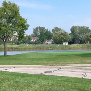 A serene landscape featuring a lush green lawn, a tree, and a calm lake under a clear blue sky.