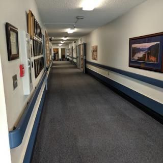 A well-lit hallway featuring artwork along the walls and a carpeted floor.