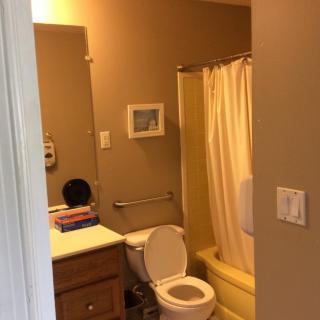 A small bathroom with a toilet, sink, and shower curtain.