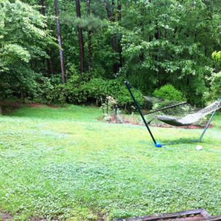 A serene backyard with a hammock surrounded by lush green trees and grass.