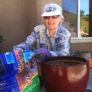 An elderly person enjoying a sunny day while preparing soil for gardening.