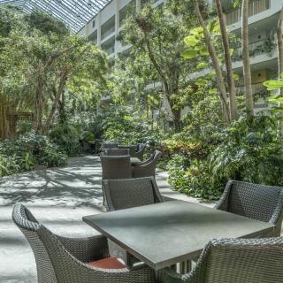 A tranquil indoor garden area with chairs and tables surrounded by lush greenery.