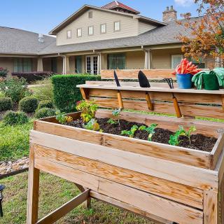 A raised garden bed with various plants and gardening tools in a backyard setting.