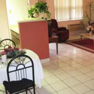 A cozy living and dining area with tiled flooring, featuring a small dining table, chairs, armchair, and potted plants.