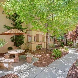 A serene garden area with outdoor seating and a winding pathway surrounded by lush greenery.