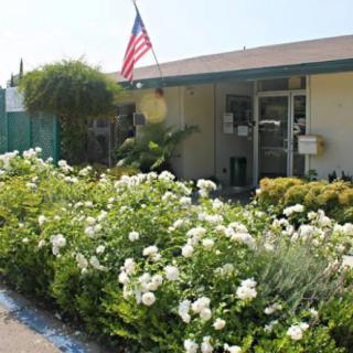 A building with a garden full of white flowers, featuring an American flag hanging from the roof.