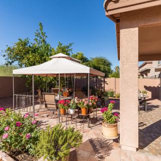 A sunny backyard patio featuring a charming gazebo surrounded by lush plants and outdoor furniture.