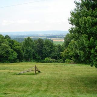 A tranquil rural landscape featuring lush green fields and trees under a clear sky.