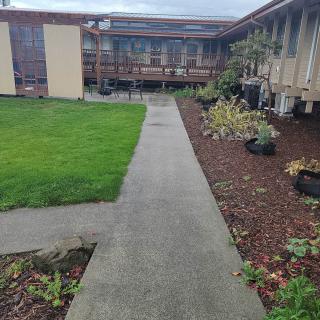 A concrete path surrounded by a garden and leading to a building.