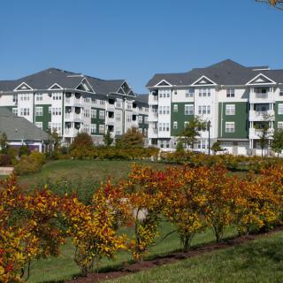 A view of residential apartment buildings with colorful autumn trees in the foreground.