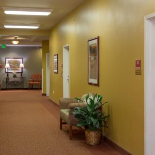 A well-lit hallway with seating, paintings, and a potted plant.