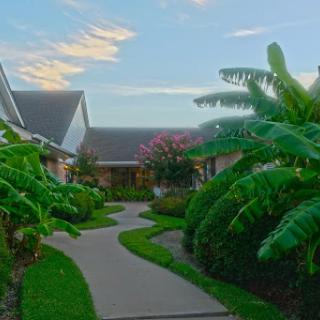 A serene pathway surrounded by lush greenery leading to a cozy residence.
