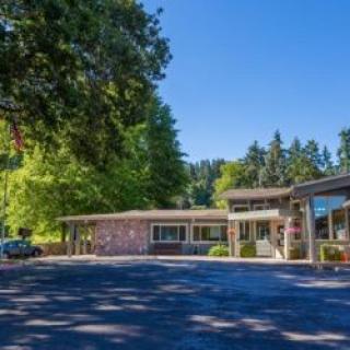 A quaint motel surrounded by lush trees with a spacious parking lot.