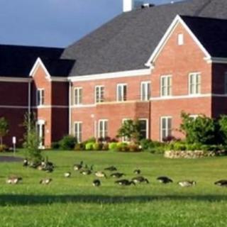 A brick building surrounded by a grassy yard with geese.