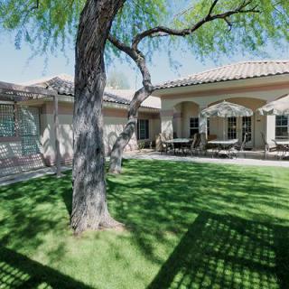 A sunny backyard with a large tree providing shade, surrounded by a well-maintained lawn and patio area.