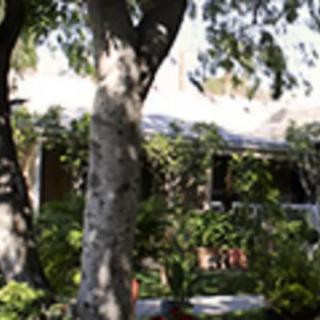 A quaint house surrounded by lush greenery and trees.