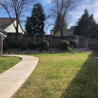 A serene backyard featuring a curved pathway, grass, trees, and a wooden fence.