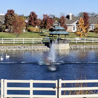 A serene pond with a fountain and a gazebo, surrounded by autumn trees and houses.