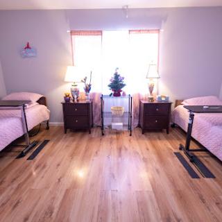A cozy bedroom featuring two twin beds with pink bedding and a small decorative tree in the center.