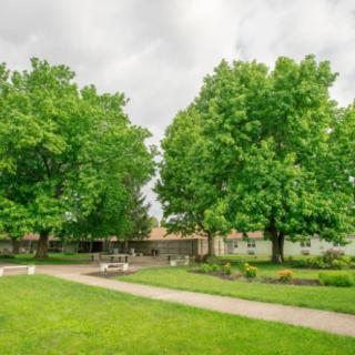 A scenic view of a lush green park with trees and a paved pathway.