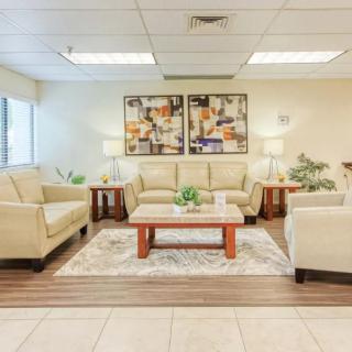 A spacious and well-lit waiting room featuring comfortable sofas, a coffee table, decorative artwork, and indoor plants.
