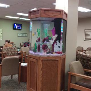 A beautifully designed aquarium in a waiting room, featuring vibrant decorations and fish.