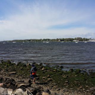 A serene view of the shoreline with gentle waves lapping against the rocks under a clear sky.