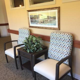 A cozy waiting area featuring two patterned chairs, a small side table with a plant, and artwork hanging on the wall.