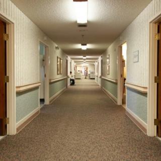 A well-lit hallway with carpeted flooring and several doors.