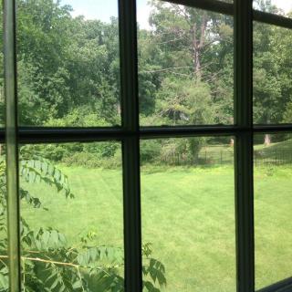 A peaceful view of lush green trees and grass through a window.