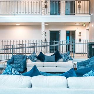 Modern living room with stylish sofas and cushions.