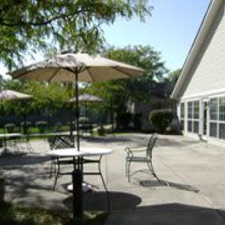 A sunny patio with tables and chairs under umbrellas, surrounded by trees.