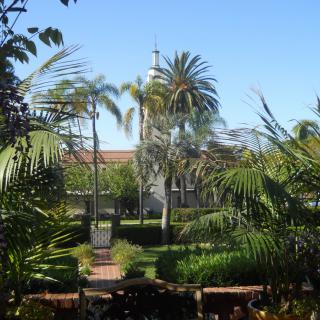 A serene garden with palm trees and a distant tower under a clear blue sky.