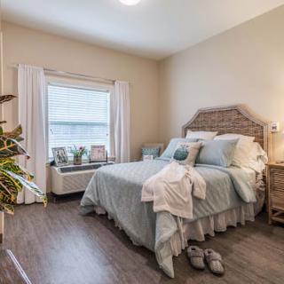 A cozy bedroom with natural light, featuring a neatly made bed, indoor plants, and warm decor.