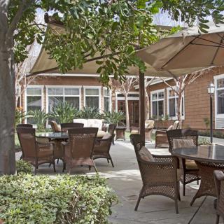 An inviting outdoor patio area with tables, chairs, and umbrellas surrounded by greenery.