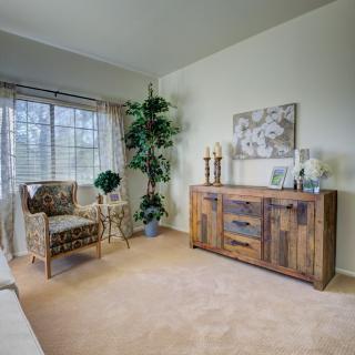 A cozy living room with a patterned armchair and wooden sideboard, complemented by decorative elements and a large house plant near the window.
