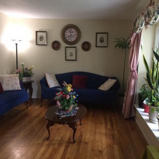 A cozy living room with blue sofas, a wooden floor, and a variety of plants.