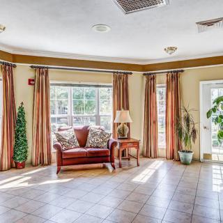 A spacious living room with large windows, a sofa, and plants, filled with natural light.